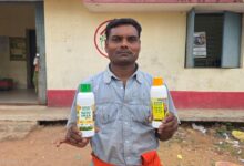 Increased Yields, Reduced Costs with Nano-Fertilizers: Sarguja Farmer Pankaj Rajwade Becomes a Beacon of Innovation
