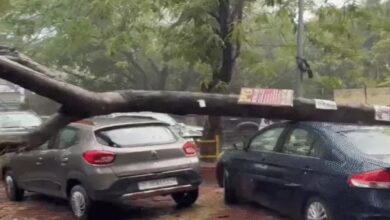 Over 500 trees uprooted by storms in UP and MP; 3 laborers killed after a crane overturned in Haryana.