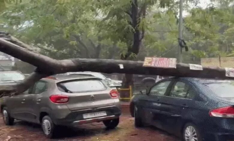 Over 500 trees uprooted by storms in UP and MP; 3 laborers killed after a crane overturned in Haryana.
