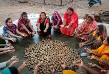 A unique initiative for nature conservation through the creation of seed balls.