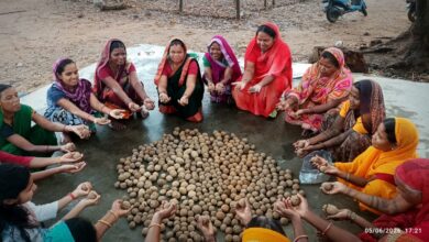 A unique initiative for nature conservation through the creation of seed balls.