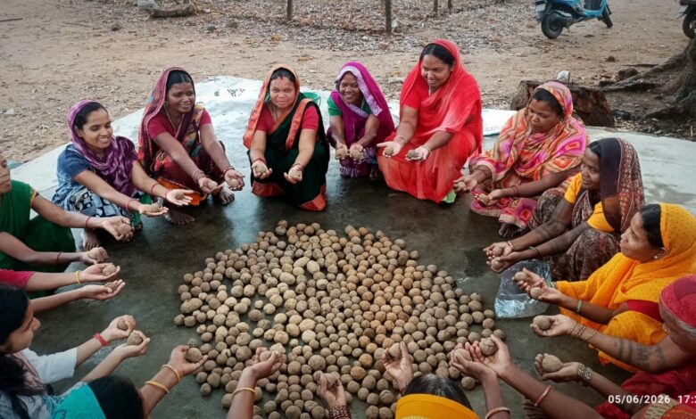 A unique initiative for nature conservation through the creation of seed balls.