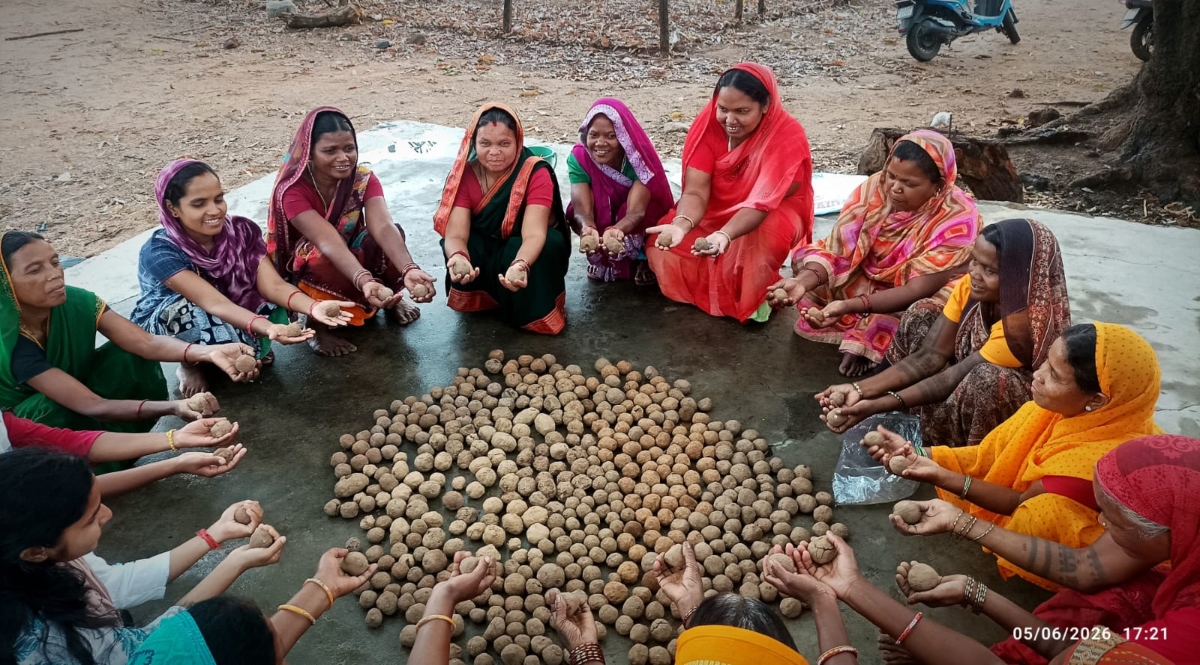 A unique initiative for nature conservation through the creation of seed balls.