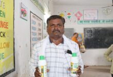 Nano Urea Makes Farming Easier: Farmer Gulabchand Rathore Seeing Better Results