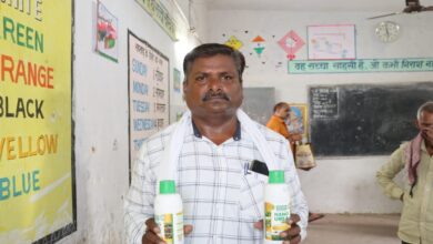Nano Urea Makes Farming Easier: Farmer Gulabchand Rathore Seeing Better Results