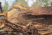Illegal encroachment removed from 100 acres of forest land in Kondagaon; trees worth crores were felled to create farmland.