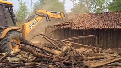 Illegal encroachment removed from 100 acres of forest land in Kondagaon; trees worth crores were felled to create farmland.