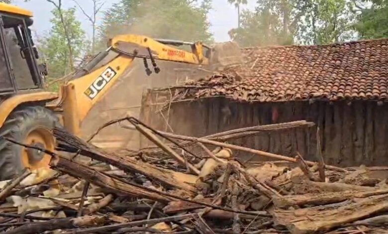 Illegal encroachment removed from 100 acres of forest land in Kondagaon; trees worth crores were felled to create farmland.