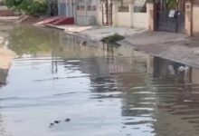 Monsoon stalled in the same spot for 7 days; rain alert for 22 states.