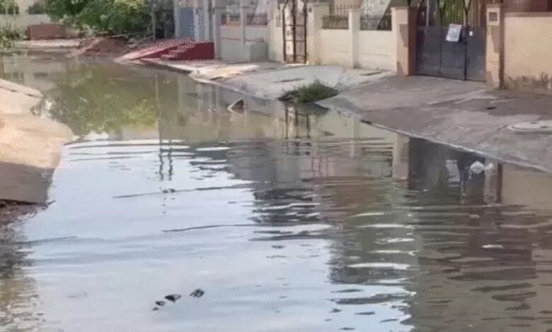 Monsoon stalled in the same spot for 7 days; rain alert for 22 states.