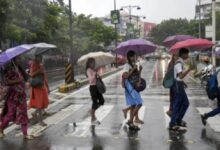 Weather to change in MP and CG due to the vigorous onset of the monsoon.