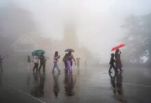 The monsoon has reached the border of Chhattisgarh.