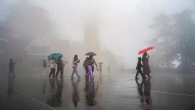 The monsoon has reached the border of Chhattisgarh.