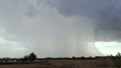 Heavy rainfall expected in Chhattisgarh for 7 days.