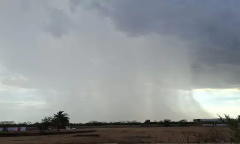 Monsoon reaches half of the state; will cover the entire state within 24 hours.
