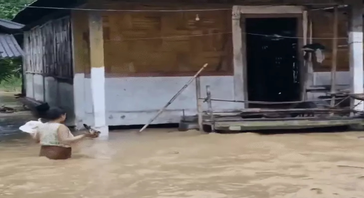 13 dead in UP, Bihar, and Chhattisgarh due to falling trees and lightning strikes:
