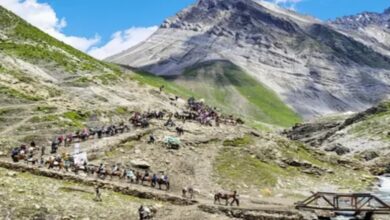 Accident on Amarnath Yatra route: Pony porter killed after boulder falls on tent.