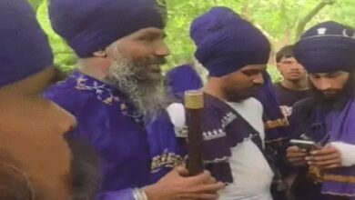 Nihangs arrive to stop mother and daughter from dancing.