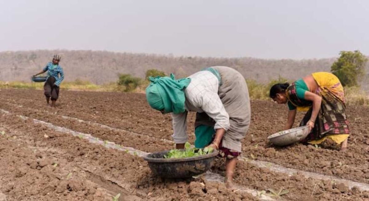 Farming gathers momentum with the monsoon.