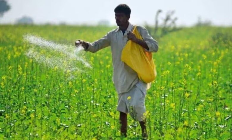 Chhattisgarh received 46,500 tonnes of DAP in July; farmers will not face a shortage.