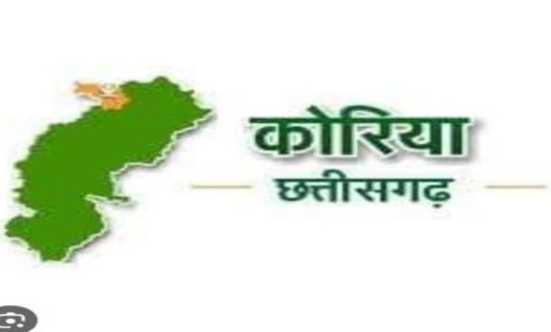 Land-related tasks now easier in Chhattisgarh: 99.95% success rate in auto-mutation; Koriya ranks first, Dhamtari among the top five.