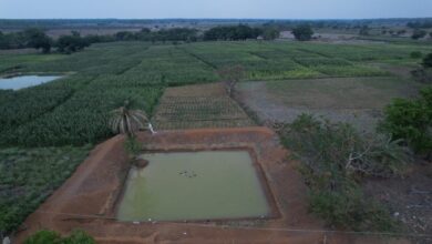 Construction of farm ponds transforms the fortunes of Bastar farmers.
