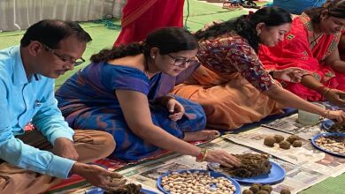 30,000 seed balls prepared in Sarangarh: An initiative by self-help groups; message of environmental conservation conveyed by forming a human chain.
