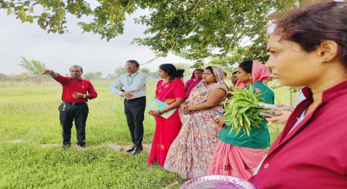Dhamtari Model Becomes an Inspiration for the Country: Medicinal Farming Transforms Women's Fortunes; Expansion to 500 Acres Planned