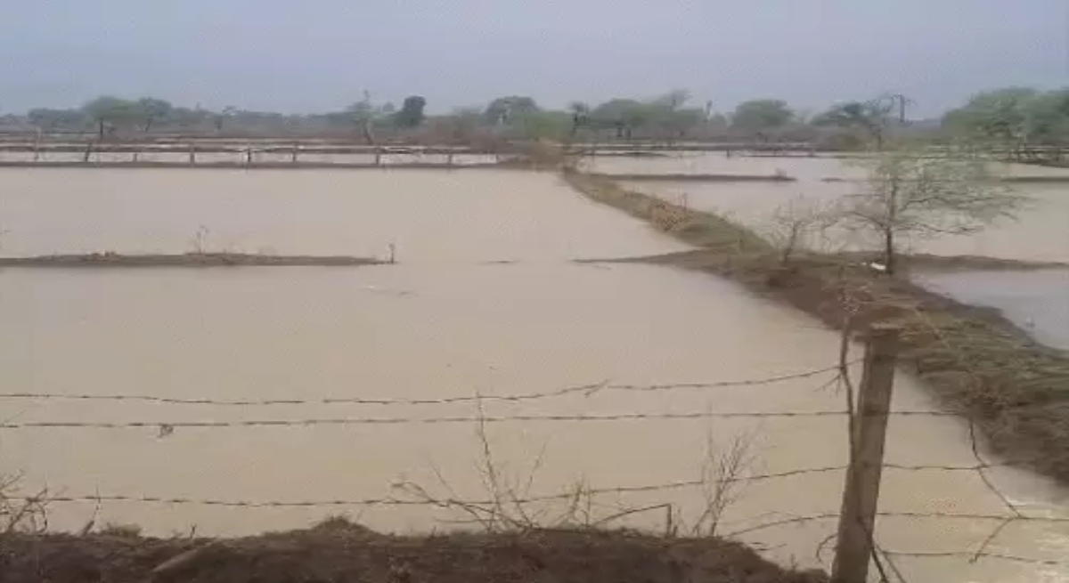 Rainfall to slow down in Chhattisgarh: Ground caves in by 30 feet in Balod; shepherd killed by lightning.