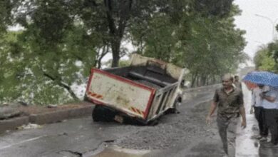 8 killed by lightning in MP and Bihar