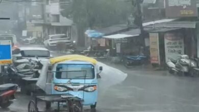 Monsoon slows down in Chhattisgarh; rain likely over the next 5 days.