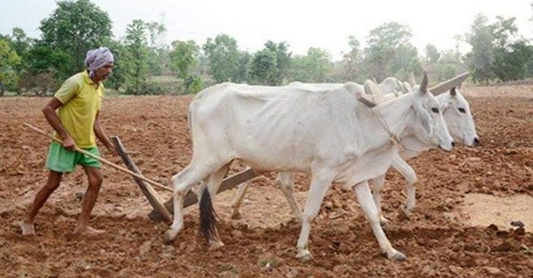 Farmers receiving seeds and fertilizers on time during the Kharif season; adequate stocks available in Gaurela-Pendra-Marwahi: CM Sai