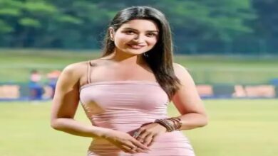 Mahadev betting app case: ED questions sports presenter Shefali Bagga for 5 hours in Raipur.