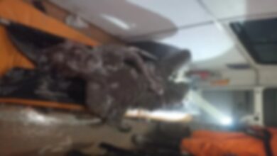 Landslide at under-construction tunnel: 8 workers dead, 19 still trapped.