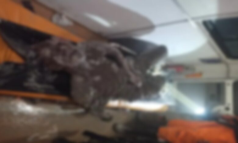 Landslide at under-construction tunnel: 8 workers dead, 19 still trapped.