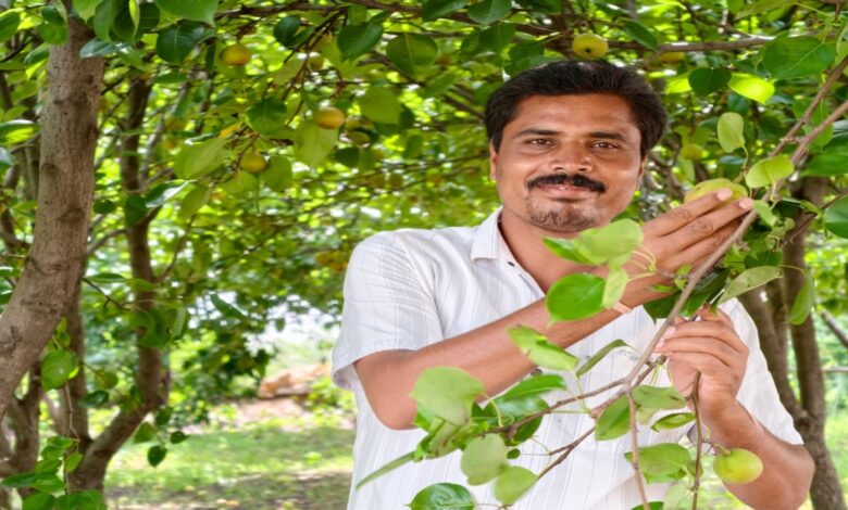The Sweetness of 'Pears' in Mainpat: Chhattisgarh's 'Shimla' Emerges as a New Hub for Agri-Tourism