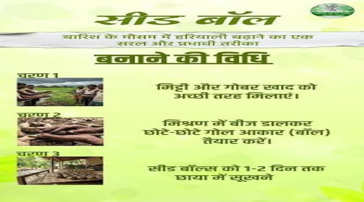 Seed Ball Campaign: A Simple and Effective Way to Increase Greenery