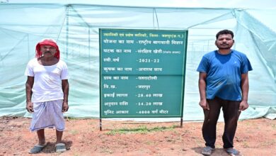 जशपुर के किसान ने अपनाई आधुनिक खेती, एक खेत में उगा रहे कई फसलें
