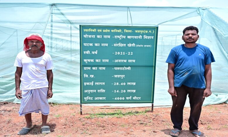 जशपुर के किसान ने अपनाई आधुनिक खेती, एक खेत में उगा रहे कई फसलें