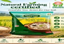 Jeeraphool rice gains new recognition; FPO model offers farmers better market access.