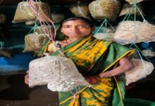 From a computer center to mushroom farming, Babli has created multiple avenues for earning an income.