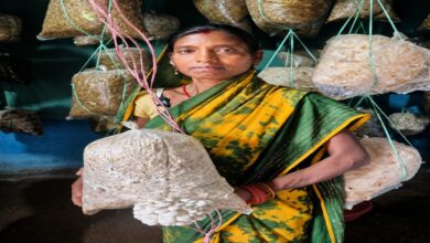 From a computer center to mushroom farming, Babli has created multiple avenues for earning an income.