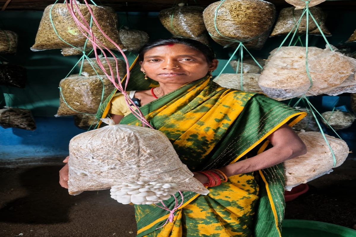 From a computer center to mushroom farming, Babli has created multiple avenues for earning an income.