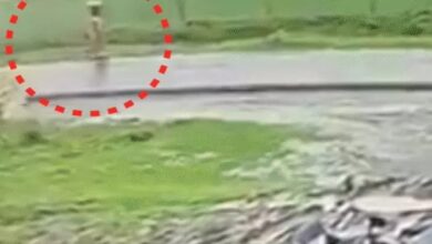 Heavy rain alert across the country: 5 dead, including 3 children, in Chhattisgarh.