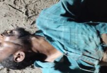 BSF shoots dead suspected intruder: Attempted to cross barbed wire fence in Dauke village.