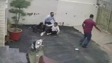 Pitbull attacks couple visiting a house; grip released only after 50 blows with a stick.
