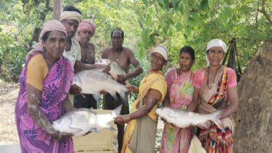 Government ponds transformed women's lives.