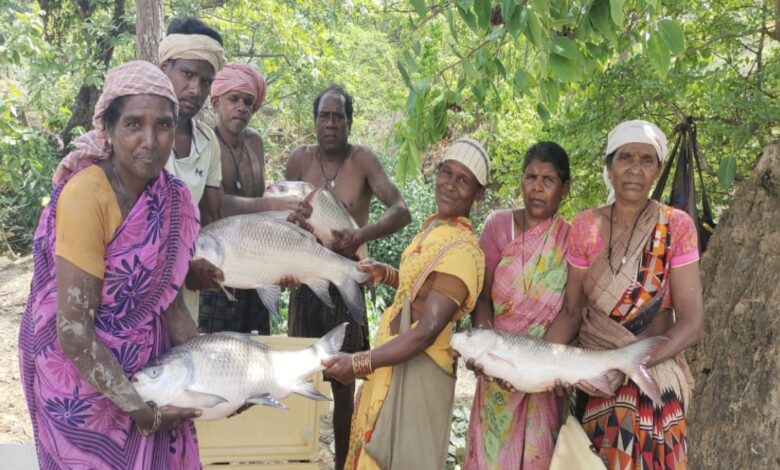 Government ponds transformed women's lives.