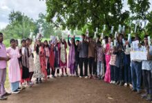45 bird walks across 33 districts; 211 species recorded.