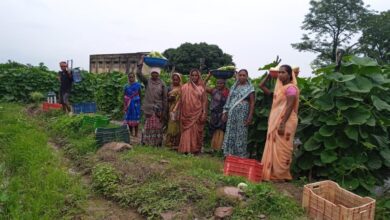 The united efforts of 35 women changed their destiny.